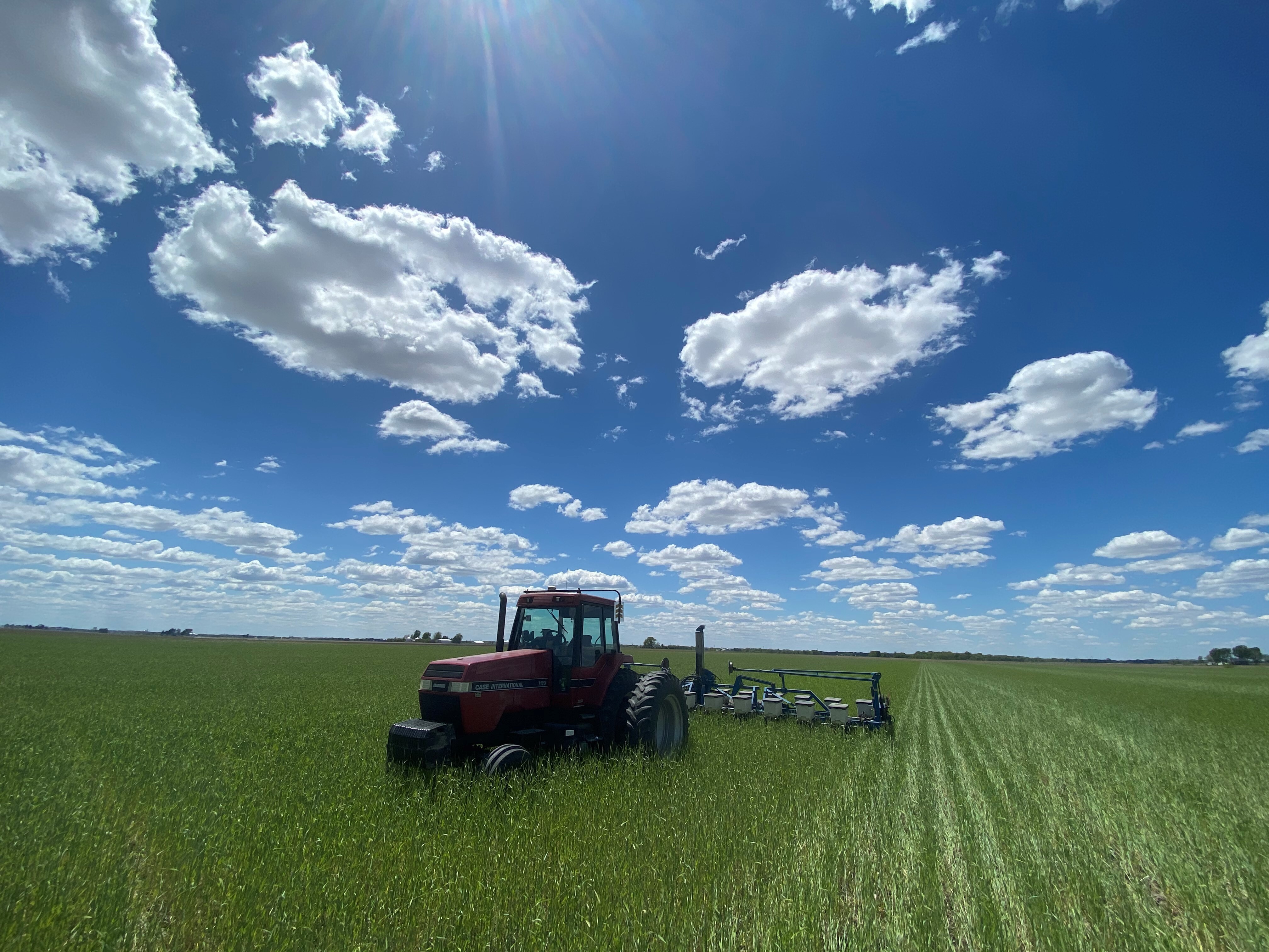 Financial innovation for regenerative agriculture: we announce the Design Council