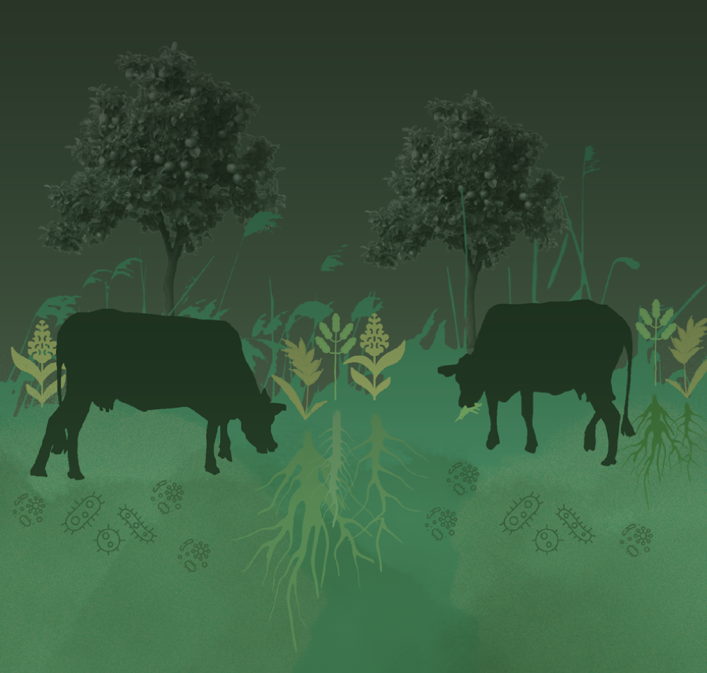 The Story of the Regenerative Agriculture in the Midwest prototype