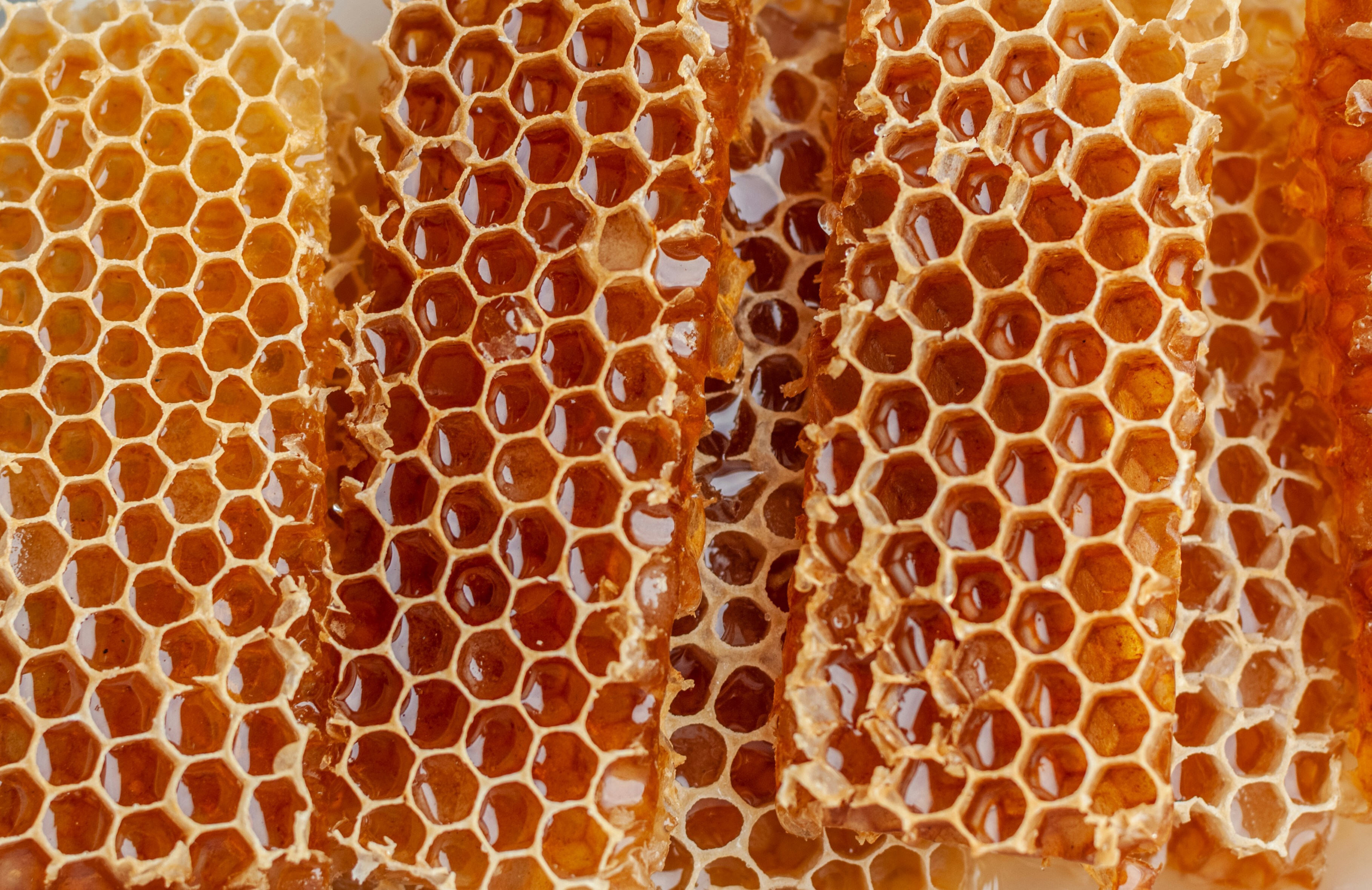 10 design questions for building a capital orchestrator in regenerative agriculture