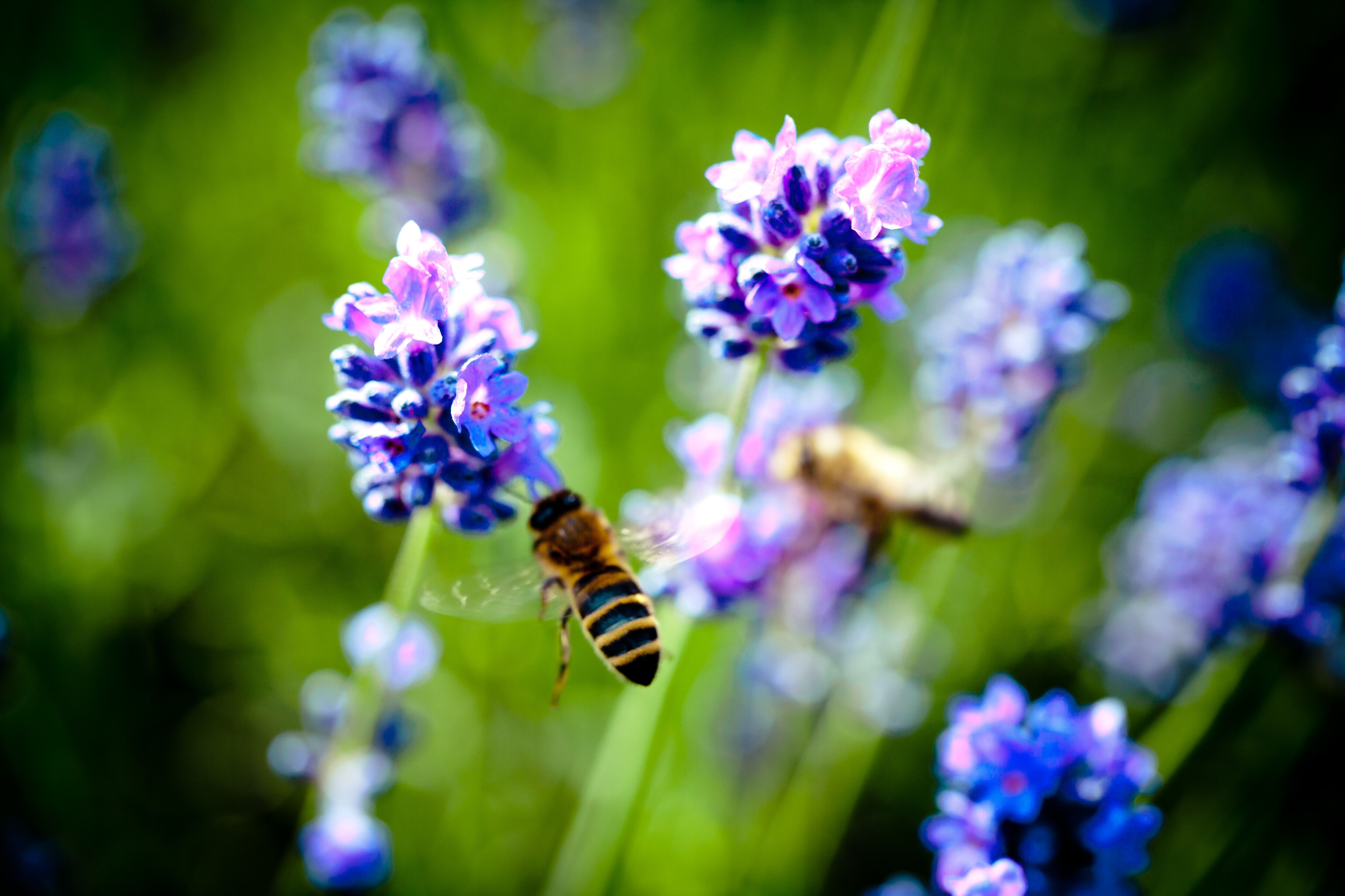 Systemic investing meets regenerative agriculture